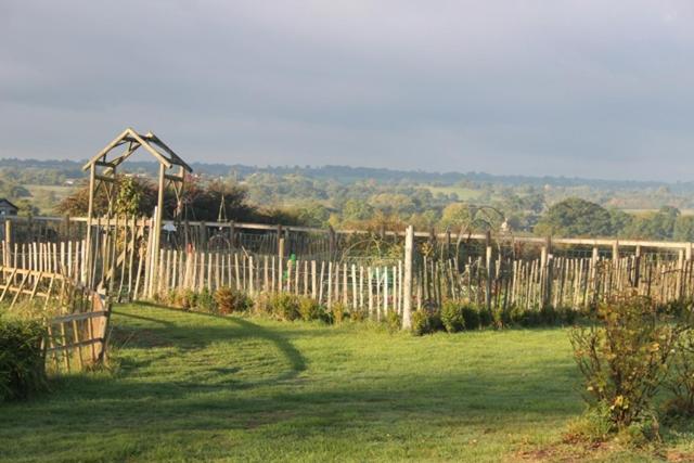 مبيت وإفطار Mapperton Hill Farm