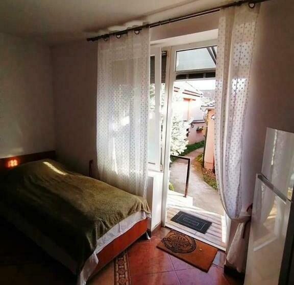 פנסיון Hostel Pascalis Alesd