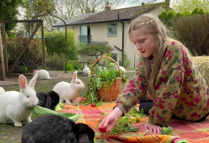 پانسیون The Base Vegan Retreat Animal Sanctuary