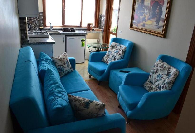 Fotos del hotel Blue Istanbul:  49