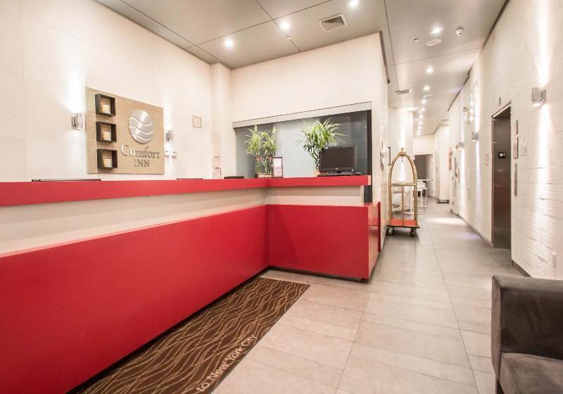 Fotos del hotel Comfort Inn Manhattan Bridge:  9