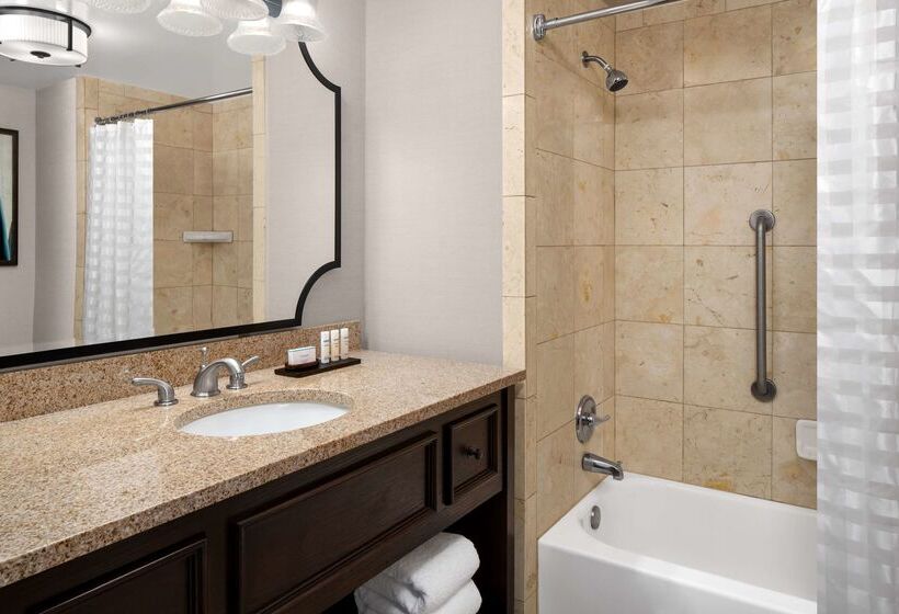 هتل Embassy Suites San Antonio Riverwalk Downtown