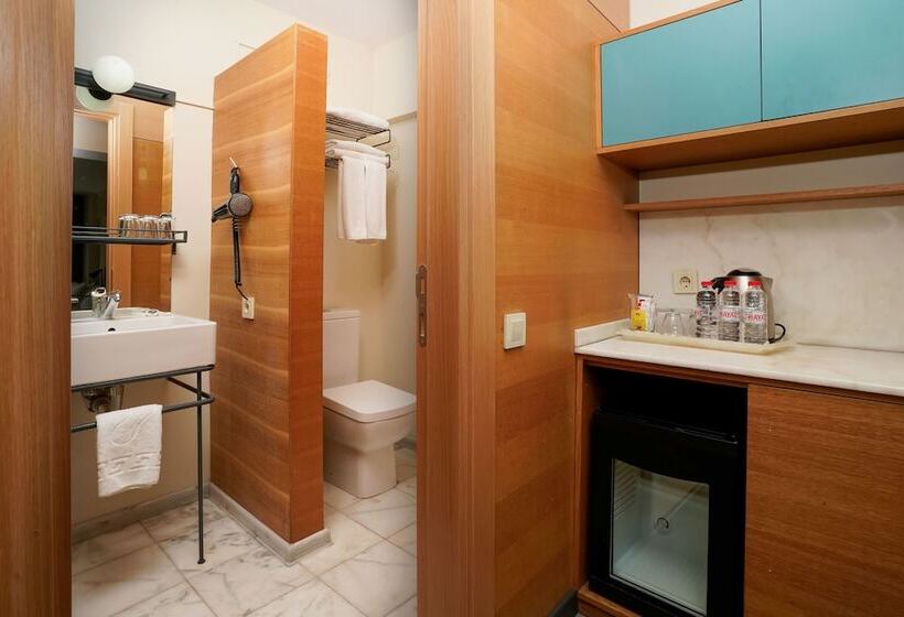 Fotos del hotel Faros Hotel Taksim:  10