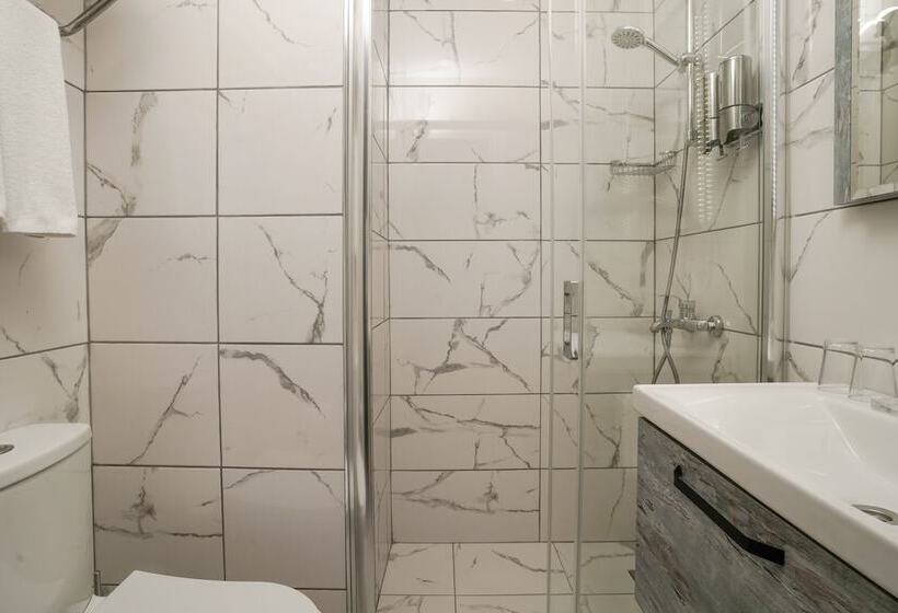 Fotos del hotel Faros Hotel Taksim:  9