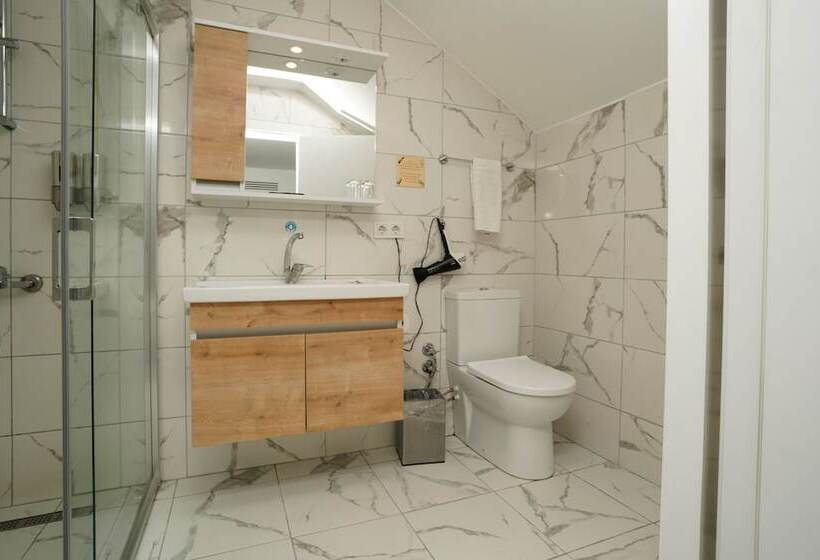 Fotos del hotel Faros Hotel Taksim:  5