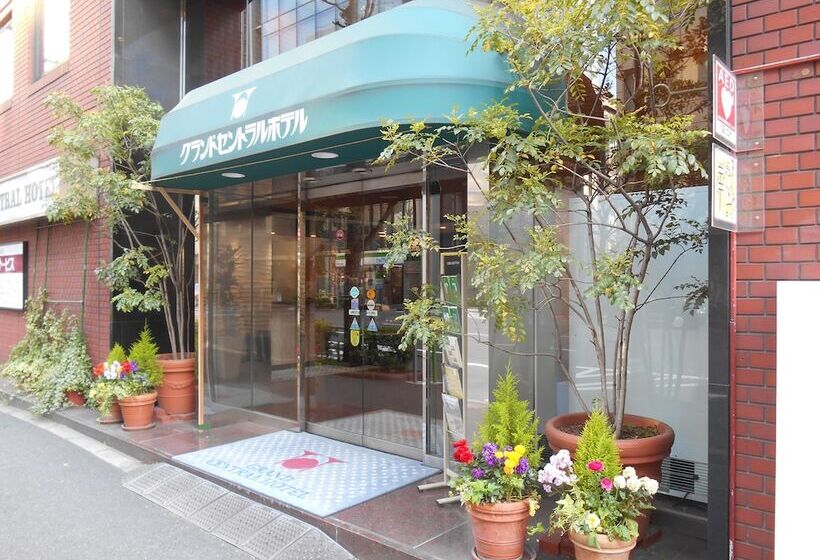 Fotos del hotel Grand Central:  16