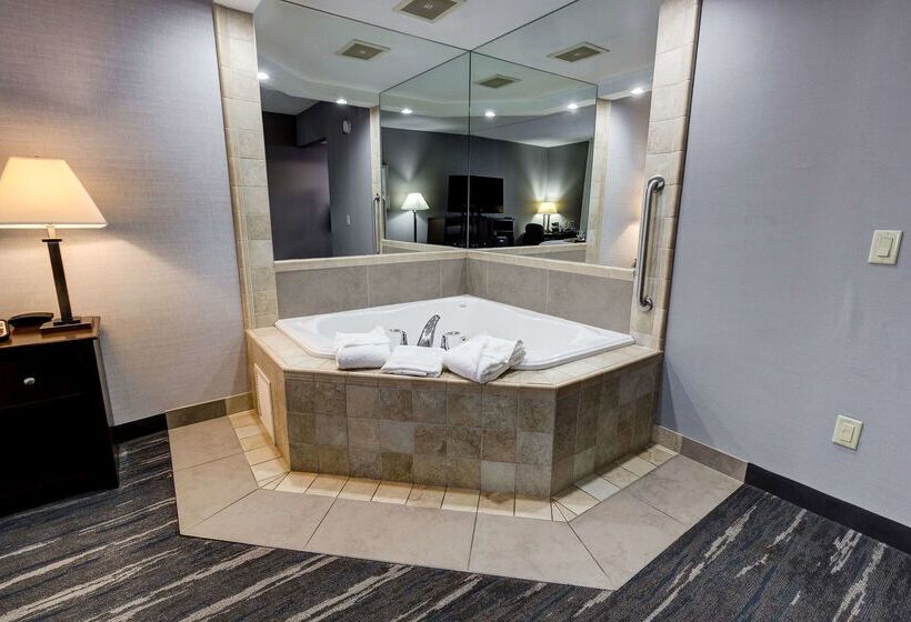 هتل Hampton Inn & Suites By Hilton Brantford Conference Centre