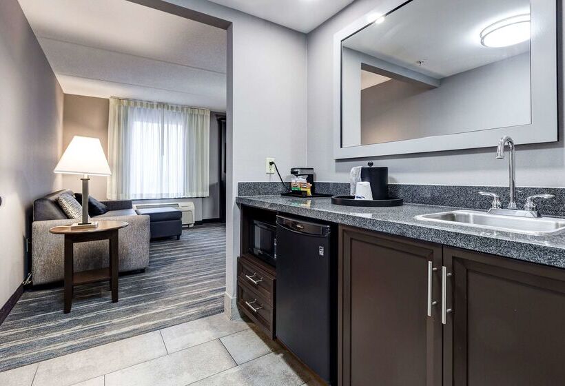 هتل Hampton Inn & Suites By Hilton Brantford Conference Centre