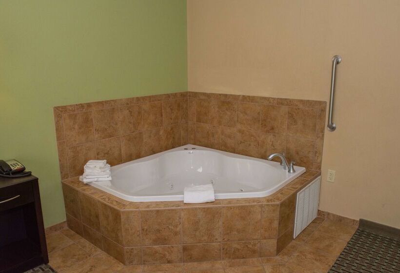 Отель Hampton Inn Dandridge