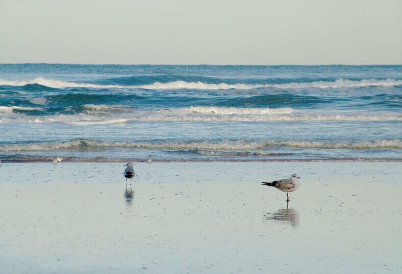 Hotel Hampton Inn Daytona Shoresoceanfront