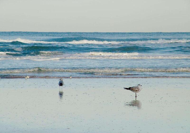 هتل Hampton Inn Daytona Shoresoceanfront
