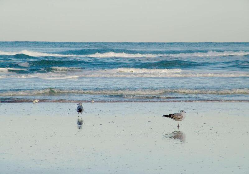 هتل Hampton Inn Daytona Shoresoceanfront