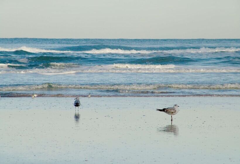 هتل Hampton Inn Daytona Shoresoceanfront