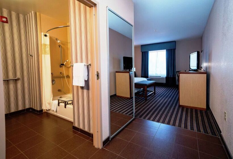 هتل Hampton Inn Jackson/flowood  Ms