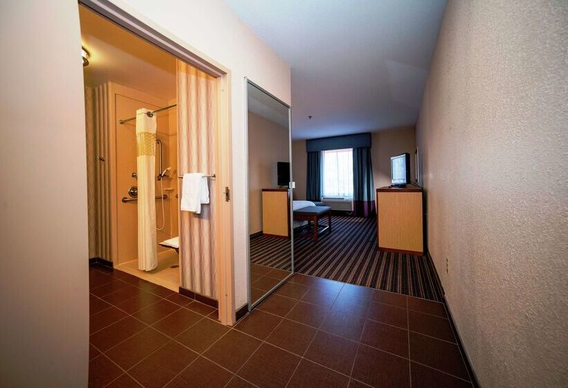 هتل Hampton Inn Jackson/flowood  Ms