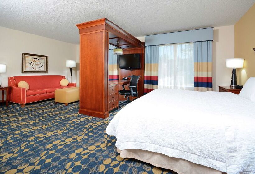 ホテル Hampton Inn & Suites Huntersville