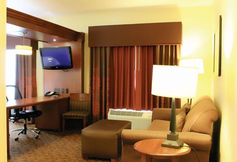 هتل Hampton Inn & Suites Mcallen