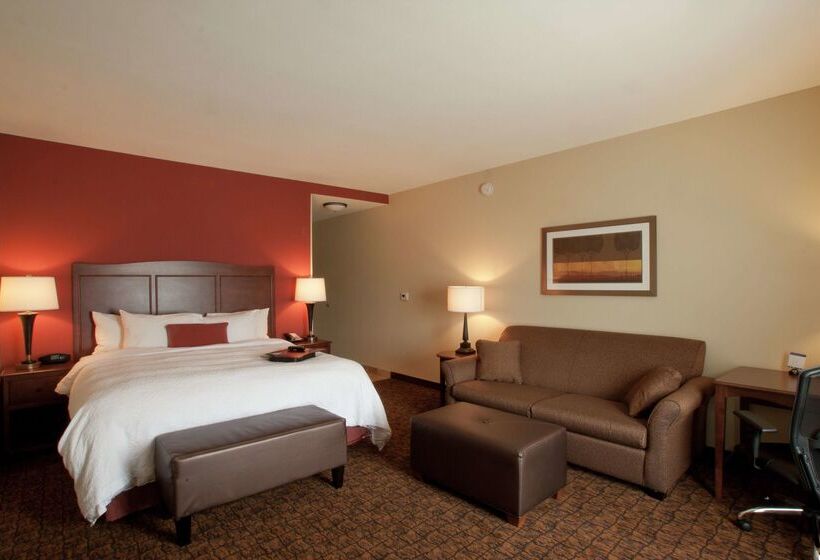 هتل Hampton Inn & Suites Mcallen