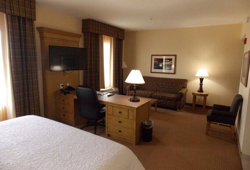 هتل Hampton Inn & Suites Riverton