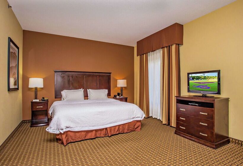 Hotel Hampton Inn & Suites Sevierville @ Stadium Drive