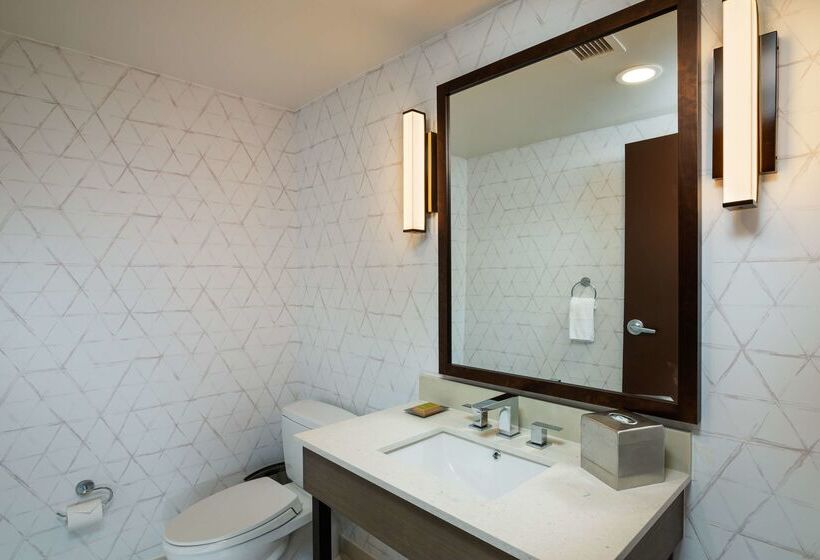 هتل Hilton Asheville Biltmore Park