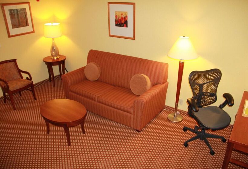 هتل Hilton Garden Inn Houston West Katy