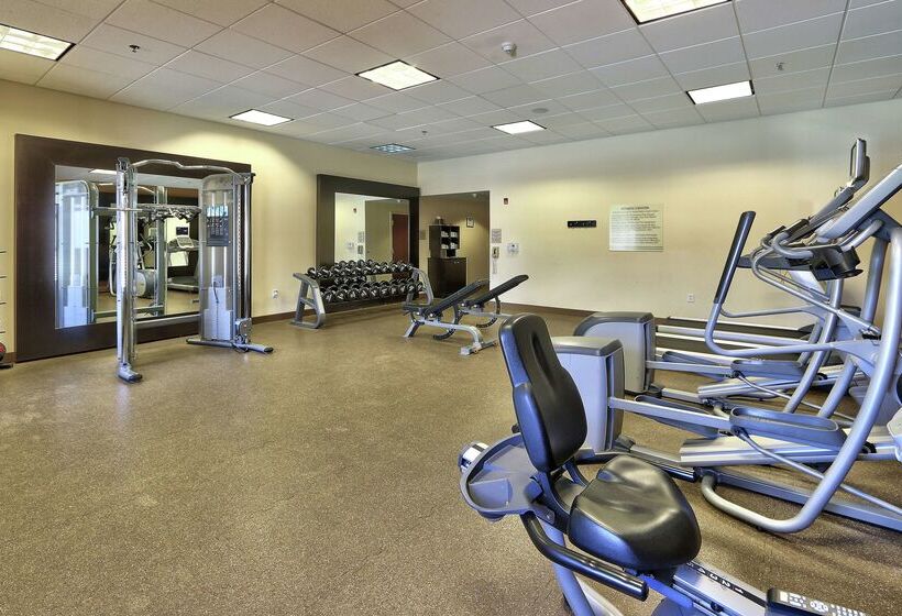 هتل Hilton Garden Inn Las Cruces