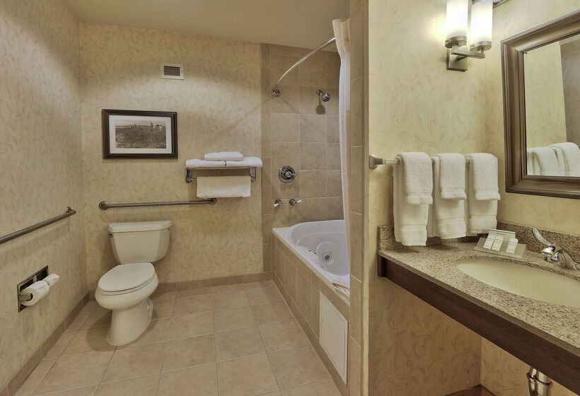 هتل Hilton Garden Inn Las Cruces