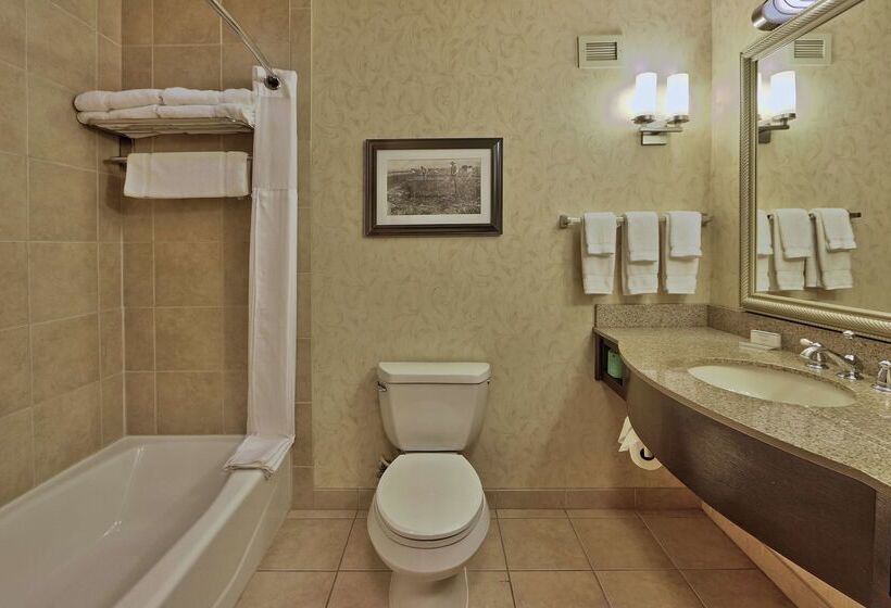 هتل Hilton Garden Inn Las Cruces