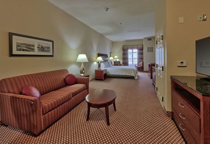 هتل Hilton Garden Inn Las Cruces