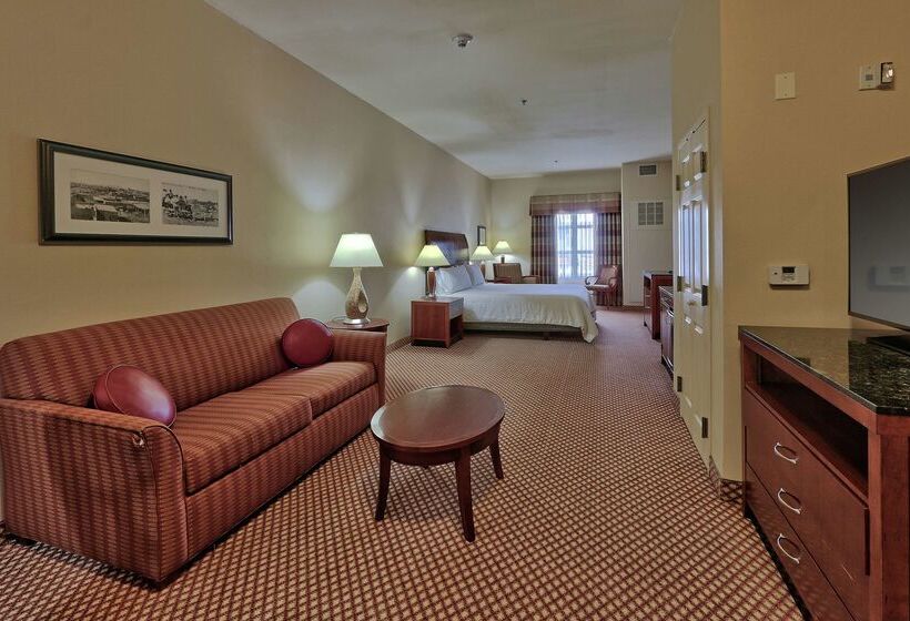 فندق Hilton Garden Inn Las Cruces