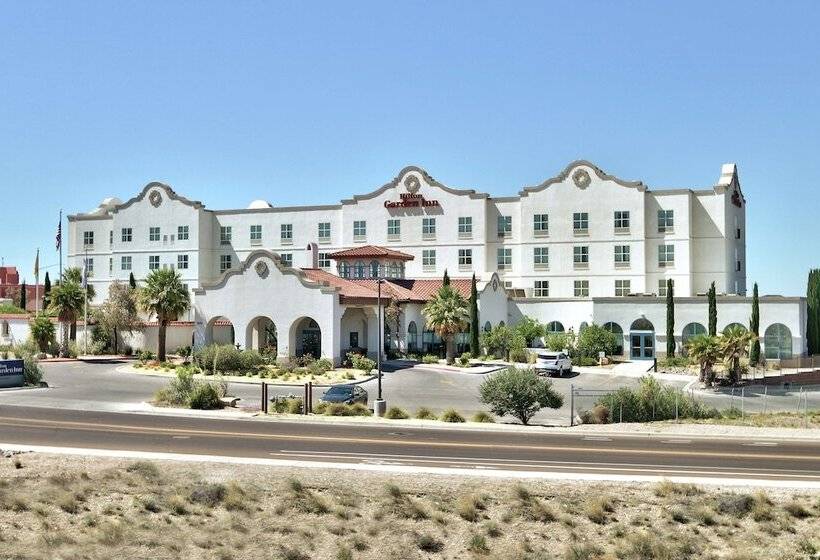هتل Hilton Garden Inn Las Cruces