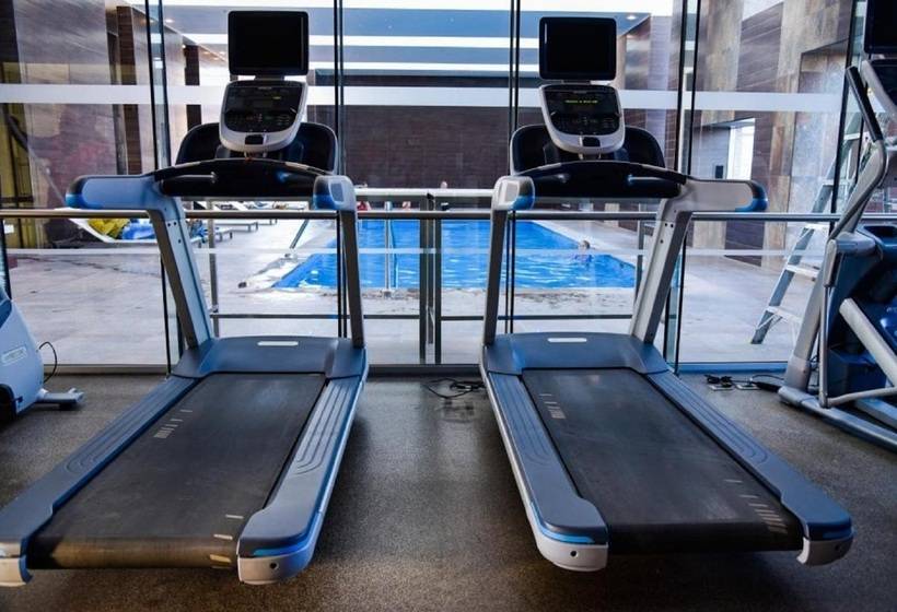 هتل Hilton Garden Inn Santiago Airport