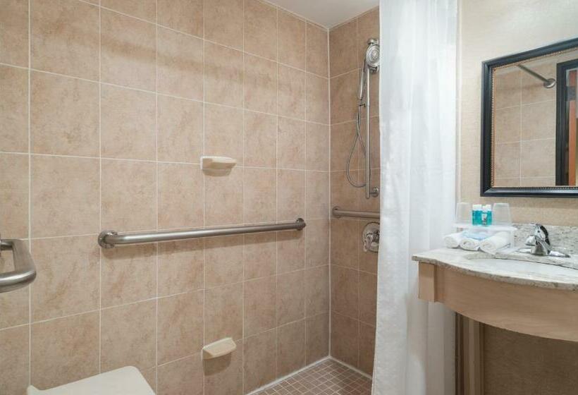 Fotos del hotel Holiday Inn Express - Wall Street, An Ihg:  57