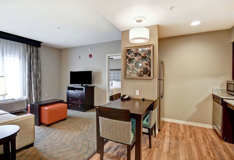 فندق Homewood Suites By Hilton Tampaport Richey