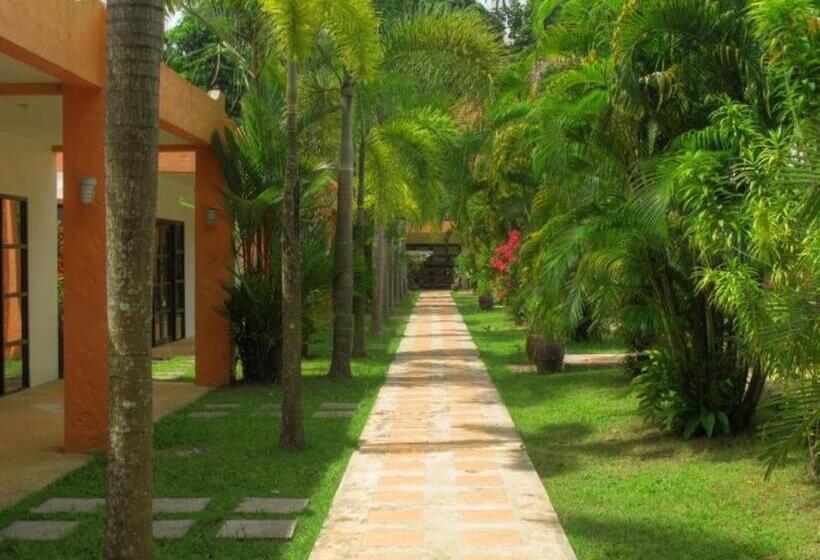 هتل Khaolak Palm Hill Resort