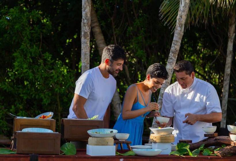 Fotos del hotel Paradisus La Perla - Adults Only:  13