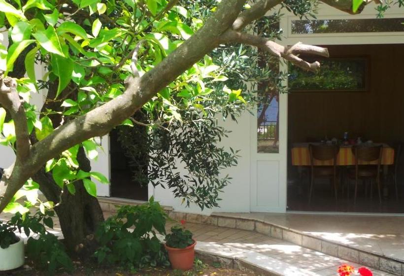 בית מלון כפרי Pension Vice