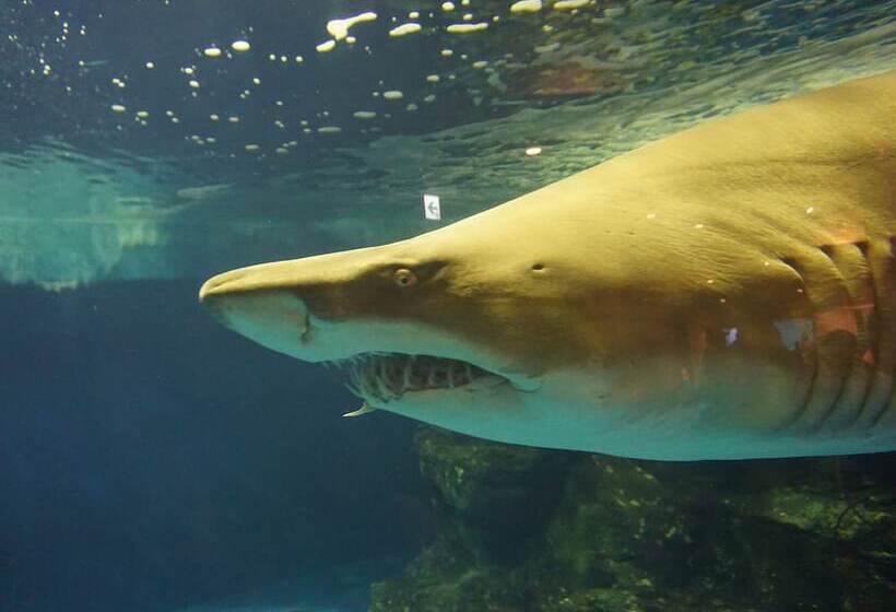 Fotos del hotel Toyoko Inn Tokyo Shinagawa Aomono-yokocho-eki:  8