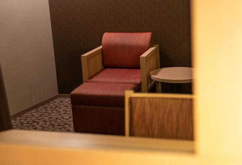 Fotos del hotel Vista Premio Kyoto:  41