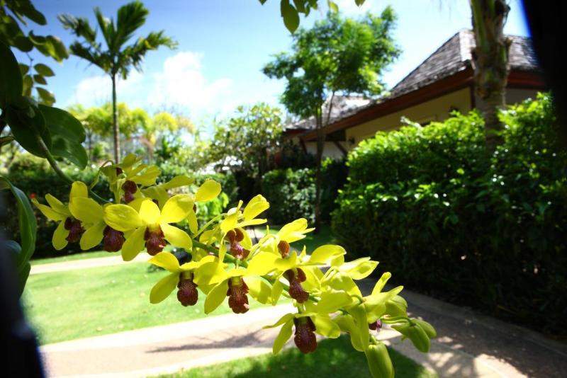 Pai Tan Villas Sha Extra Plus