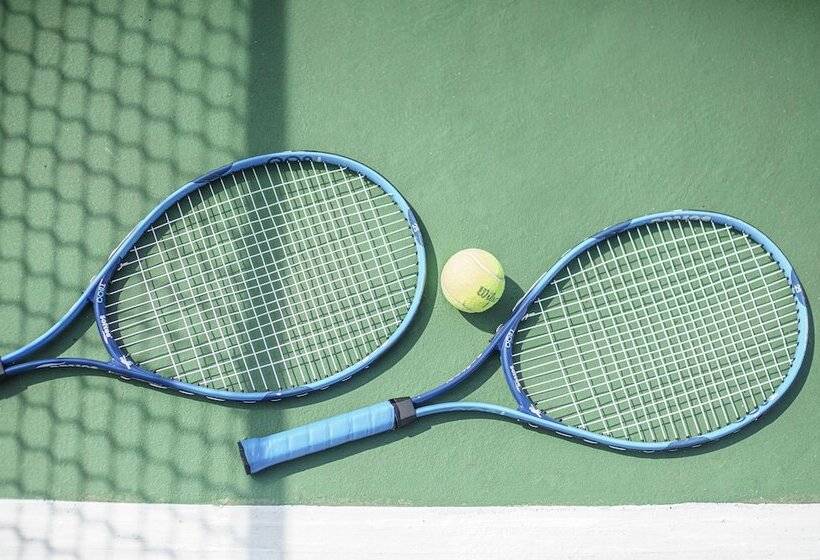 리조트 Zel Punta Cana  All Inclusive