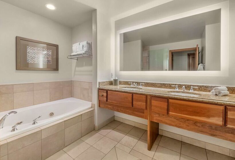 渡假胜地  Mountain Lodge Breckenridge