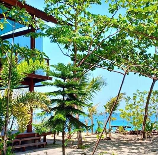 فندق صغير Castaway Surf Retreat 1