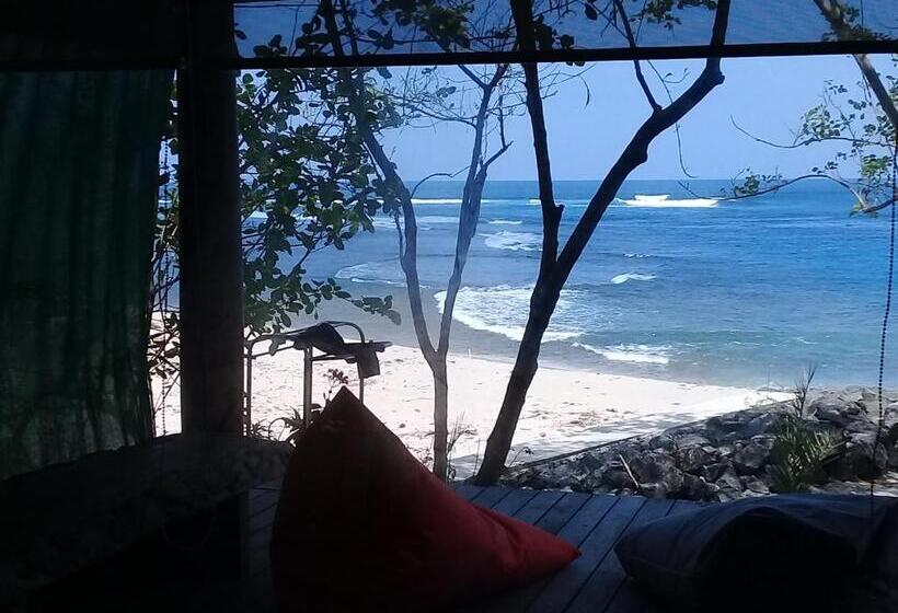 فندق صغير Castaway Surf Retreat 1