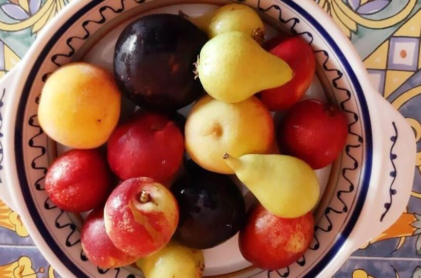 تختخواب و صبحانه Le Mille E Una Puglia   Stories And Experiences