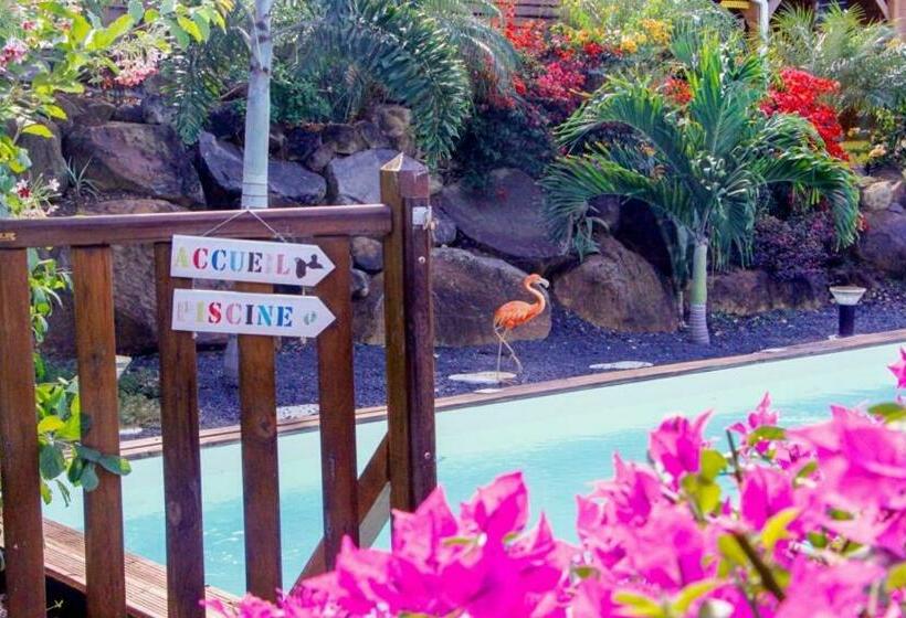 بنسيون Amour Deshaies