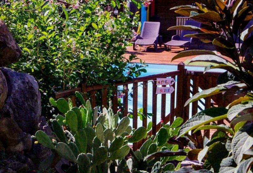 بنسيون Amour Deshaies