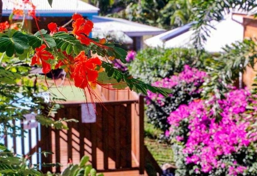 بنسيون Amour Deshaies