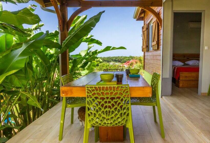 بنسيون Amour Deshaies